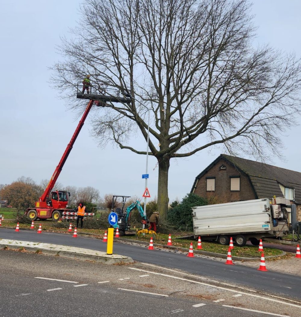 89baf1ab-bf2d-46f3-ba76-a61fd708c5fb